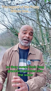 5.6K views · 135 reactions | Since spring has sprung, here’s a cute little story about the legend of the Pussy Willow tree… | Carlosmanwelly | Facebook