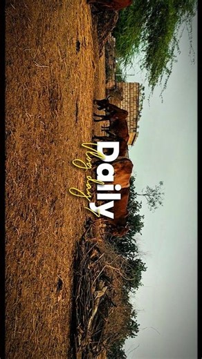 Lut Le Gaya,Dhurandhar, Daily vlog Day 7,Mainu lut le gaya, tranding,capcut7 edit,video editing