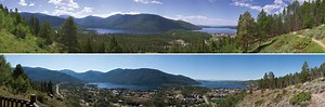 Pine beetles: Before and after
