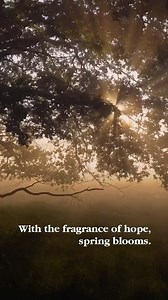 At Cycle, our purpose is to provide hope🌱✨ to everyone, one prayer at a time, just the way the season of spring 🌸🌹🪻infuses life into dormant landscapes. In these tranquil moments before the arrival of spring 🐝, we will bring you a selection of our incense creations that carry whispers of the awakening earth🦋 🌻. Stay tuned! #spring #springsummer #springspecial #fragrance #staytuned | Cycle Pure