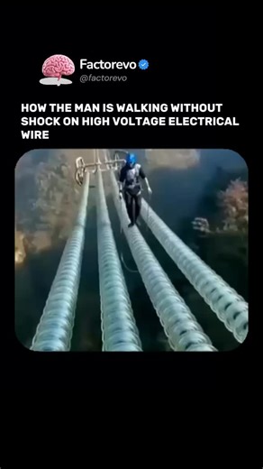 🇺🇸FACTOREVO | FACTS on Instagram: "Walking on a high-voltage power line without getting shocked looks impossible, but it follows simple physics. The person doesn’t get electrocuted because they never form a complete electrical path to the ground. Their entire body stays at the same electrical potential as the wire, so no current flows through it. As long as they touch only that single live wire and nothing else, electricity has no route through the body. The insulated safety handle is absolute