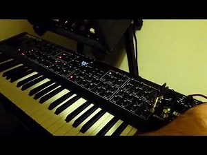 DSI Prophet Rev 2 & Source Audio Nemesis Delay