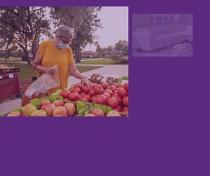 4 comments | In less than two weeks the Senior Farmers Market Nutrition Program will be open! Eligible seniors can apply for vouchers ($40 value!) to spend on locally grown and harvested fruits, vegetables and honey. Applications will be available online at www.piercecountywa.gov/farmersmarket | Pierce County | Facebook