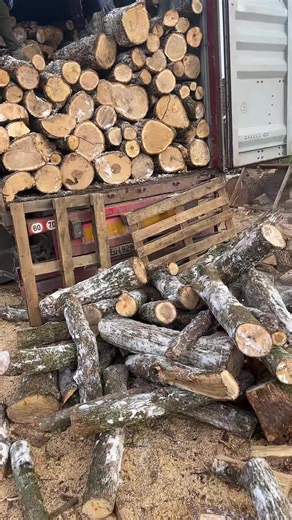 Відео користувача Дрова Білгород-Дністровський (@drova.bilgoroddnistrovsk) з композицією «оригинальный звук - Дрова Білгород-Дністровський»