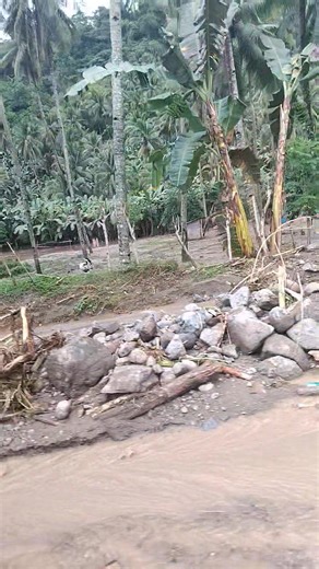 Gikan sa among lugar pababa sa syudad .Kaya walay cgnal.. Sa mga ga msg..dli ko reply dayun | Mary Pogoy Manait