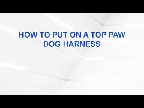 How to Put on a Top Paw Dog Harness
