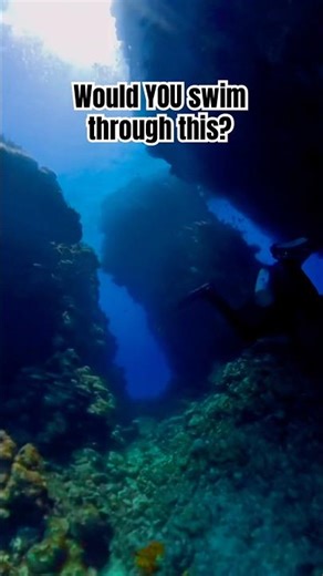 Red Sea Cave Dive | Coral Tunnel in Ras Mohamed 🪸♥️