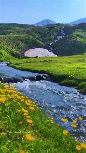 Lost in Nature | 把灵魂丢进山水里 #Shorts