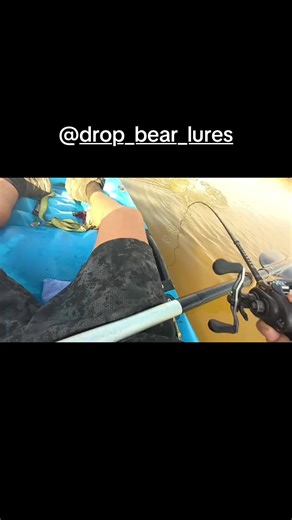 Catch Murray Cod Easily with Drop Bear Lures