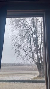 Check this out! From FOX 11 viewer Carrie Loberger from Nichols, WI An ice covered tree branch fell on a powerline taking out power for parts of central Outagamie county. #WSFrannie #TNWD #IceStorm | Patrick Powell Wluk