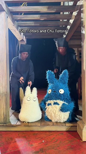 If this has landed on your FYP it means the spirits of the forest like you ☺️🌱 #FindYourSpirit #MyNeighbourTotoro @Royal Shakespeare Company