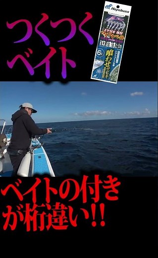 玄界灘落し込み①！ベイトがめちゃくちゃ掛かる「つくつくベイト」#ヒラマサ #釣り #落とし込み