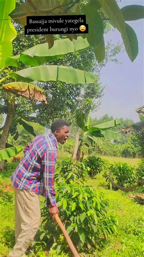 Bassajja Mivule: Classic Comedy Highlights