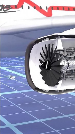 😨How Bird can CRASH Plane | Facts #facts #shortsfeed