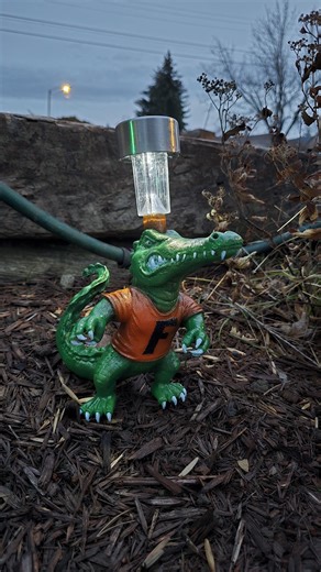 Florida Gator Solar Light - Etsy