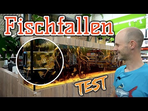 Fish trap tested | Catching fish from established aquariums | Professional tip