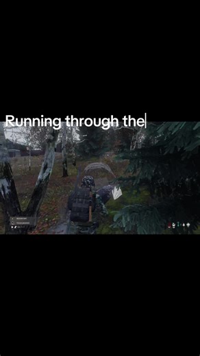 Finding Hidden Stashes in DayZ Gameplay