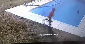 Young Boy Saves Puppy From Drowning In Swimming Pool