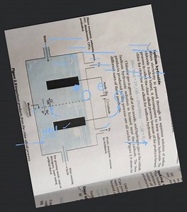 Sodium hydroxide When electricity is passed through an aqueous ... | Filo