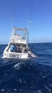 7.9M views · 45K reactions | Blue Marlin Battle #fishing #marlinfishing #fishingboat #ocean | Daily Fishing Stories | Facebook