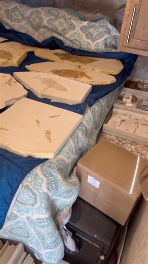 7.4K views · 89 reactions | This is our bed and every openspace in the camper when we drive  it’s nothing but rocks 直 If you haven’t seen “The Long Long Trailer” you should.  | That Camping Couple | Facebook