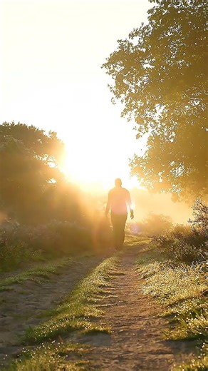 432 Hz Nature Meditation | 8D Nature Sounds for Deep Relaxation 🌿🎧 #binauralbeats