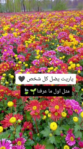 ‏#عبارات #عباراتكم #مشاعركم_هنا