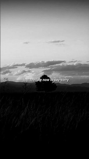 Justin Bieber - Sorry (lyrics) | Is it too late now to say sorry #lyrics #shorts