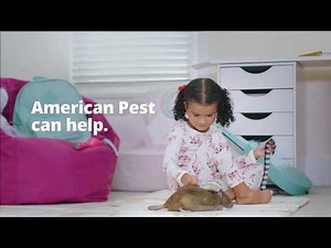 American Pest Commercial- Rat Problem