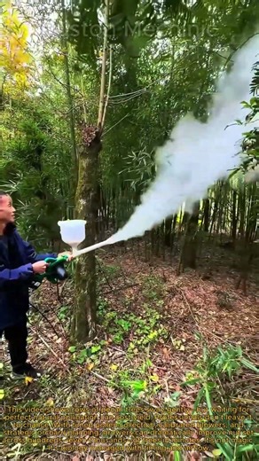 How to Increase Nut Yield Professional Pecan Pollination Techniques