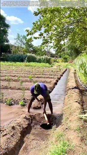 Digging for Survival: Why Clearing This Ditch Keeps Crops Alive