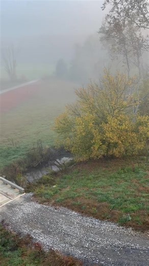 Some of the sights and sounds of a foggy (and chilly) mountain morning. A good morning to all y’all out there. | The Appalachian Project