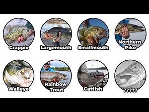 Every Fresh Water Fish Explained