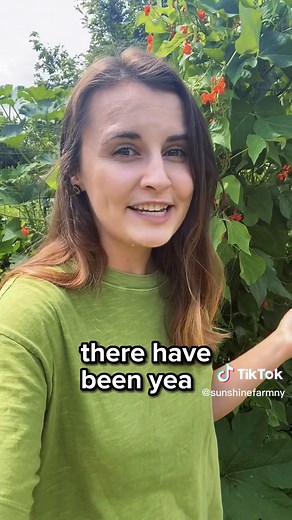 No-Till Gardening: Transform Your Garden with Sustainable Methods