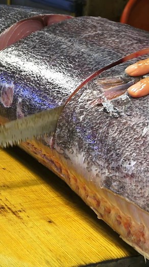 iTravel❤️愛七桃 on Instagram: "Python or Something Else? What Is He Cutting? #snake #python #cutting"