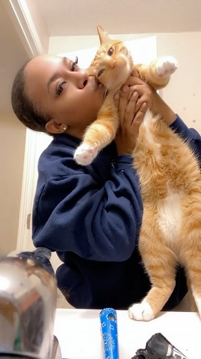 Licia | He tolerates me? Or I tolerate him? Either way I’m supposed to be doing a wig tutorial…. | Instagram