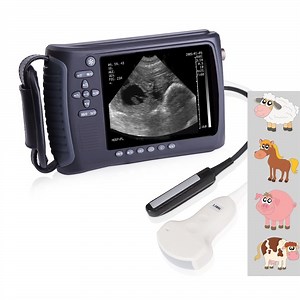 [Hot Item] Waterproof Cattle Sheep and Horses Veterinary Handheld Ultrasound Scanner