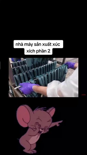 Food Processing and Packaging Insights