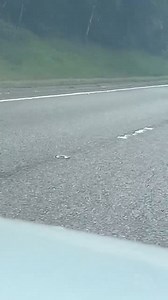 81K views · 191 reactions | A92kdy to lochgelly car is smoking like a crack head on gyro day | Fife jammer locations | Facebook