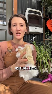 Day 5 of bark tanning this rabbit hide — and today is the checkpoint. We cut a tiny piece from the edge to see if the tannins have penetrated all the way through. No raw center. No pale core. That’s how you know the hide is actually tanned — not just coated on the surface. Once it passes the cut test, it’s time to rinse, condition with tallow, and let it dry slowly while gently stretching. This stage isn’t about rushing or forcing softness. It’s about feeding the fibers, letting the leather set,