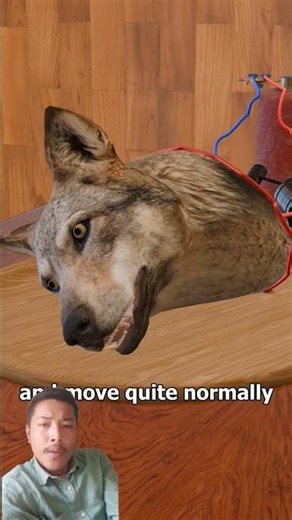 The Dog Head Experiment 😱 How Is It Possible 🤔