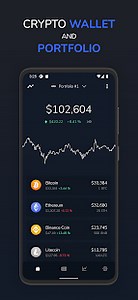 Vision: Bitcoin Crypto Wallet