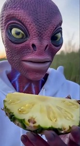 Mr_ZiTo Tries Pineapple for the First Time 🍍 | Mr. Zito’s Hilarious Reaction Shocks Everyone!😱🤯#asmr