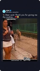 Give respect & take respect…♥️ | Meme Sarcasm Comedy