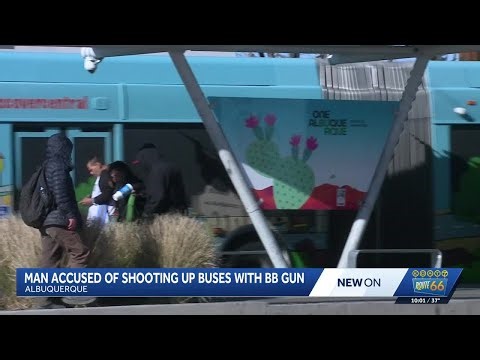 76-year-old man arrested for shooting BB gun at city buses