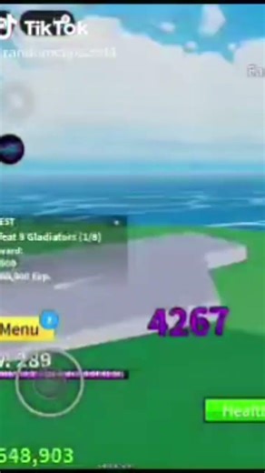 lvl 700 in bloxfruits took 2 hrs with scripts