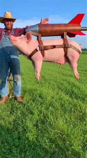 Rocket Pig Sky Journey