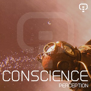 Conscience - Perception