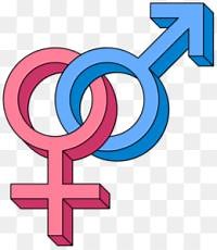 Descubre qué es la reproducción humana