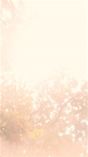 ♥️❤️‍🩹❤️‍🩹❤️‍🩹❤️‍🩹🤝🤝👫👫👫❤️‍🩹❤️‍🩹